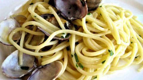 spaghetti vongole