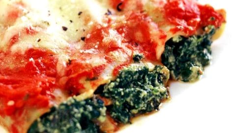 Spinach and ricotta cannelloni