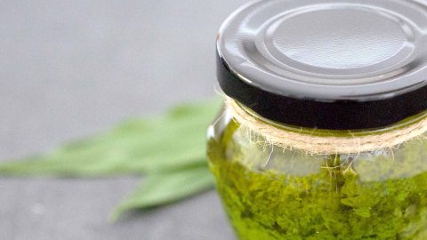 Wild garlic pesto