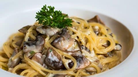 Pasta panna e funghi