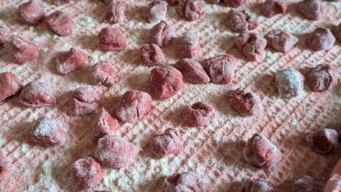 Rote Bete Gnocchi